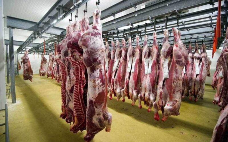 اسعار اللحوم اليوم الخميس 9 مايو 2024 فى جميع منافذ البيع المصريه