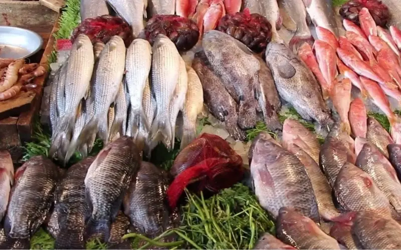 “بعد المقاطعة” اسعار السمك اليوم الاحد الموافق 5 مايو 2024 للمستهلك في سوق العبور