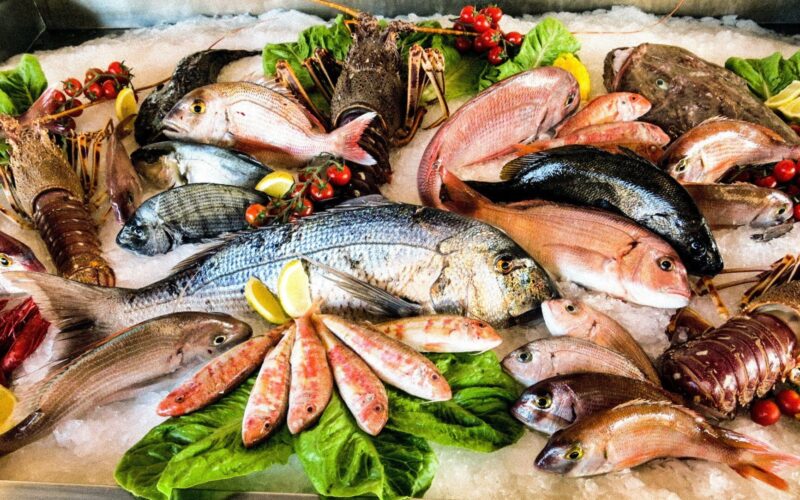 “بكام السمك”  اسعار الاسماك باانواعها في مصر وسوق العبور اليوم الثلاثاء 21 مايو 2024