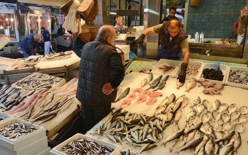 “جمبري وكابوريا” اسعار السمك اليوم الأحد 5 مايو 2024 في الأسواق المصرية للمستهلك