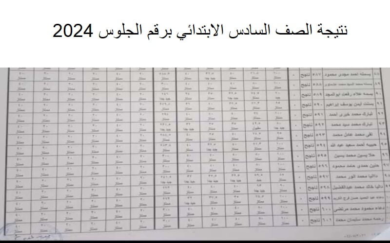 “مُتاح الأن” لينكـ استعلام نتيجة الصف السادس الابتدائي برقم الجلوس 2024 الترم الثاني بجميع محافظات مصر