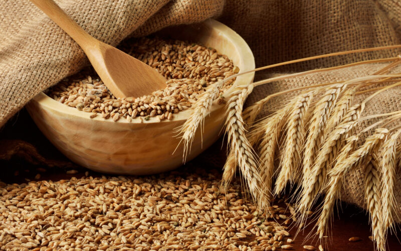 “الاردب بكام” اسعار الغلة القمح اليوم الاربعاء 8 مايو 2024 للمستهلك في مصر