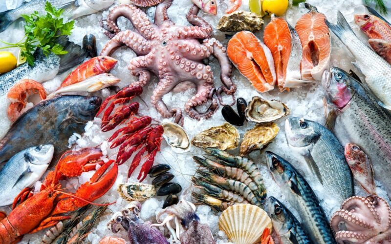 “البلطي ب62” اسعار السمك اليوم الأحد 19 مايو 2024 في الأسواق المصرية للمستهلك