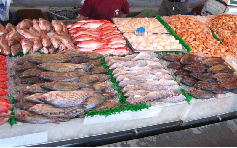 “مكرونة وماكريل” أسعار السمك اليوم الخميس 2 مايو 2024 في سوق العبور للمستهلك
