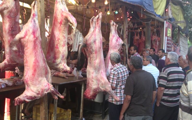 قائمة اسعار اللحوم اليوم الأربعاء 22 مايو 2024 في الأسواق المصرية والمنافذ للمستهلك