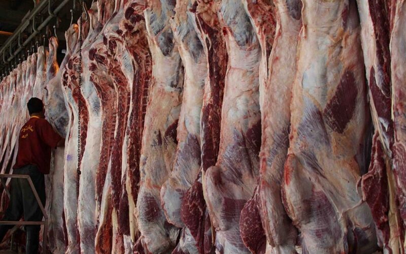 اسعار اللحوم اليوم السبت 4 مايو 2024 فى جميع منافذ البيع المصريه