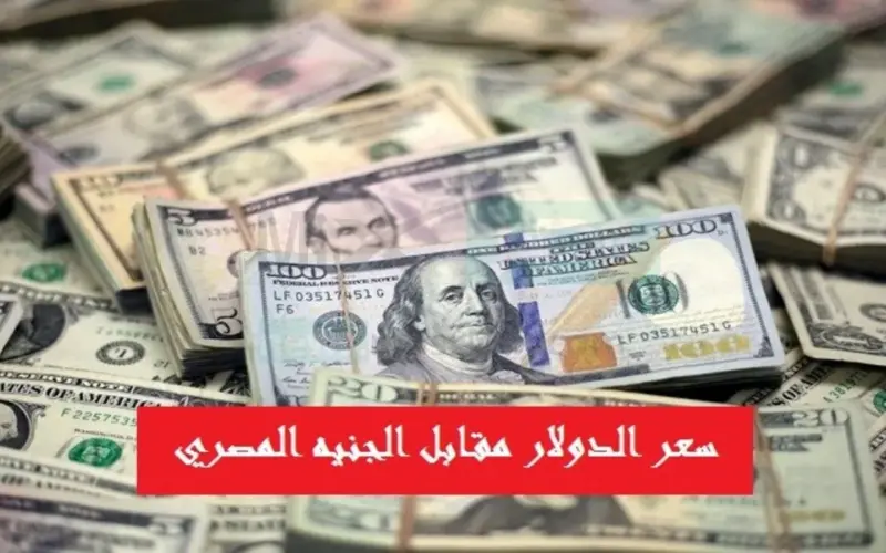 الآن سعر الدولار مقابل الجنيه السوق السوداء اليوم الأربعاء الموافق 26/6/2024 والبنوك المصرية