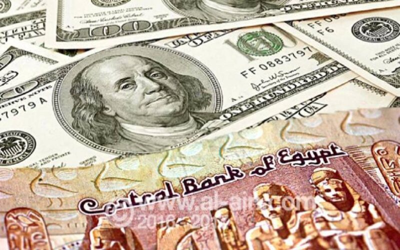 كم سعر الدولار في السوق المصري اليوم الاحد 23 يونيو 2024 مقابل الجنيه المصري
