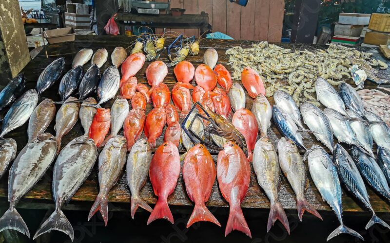 “الـبـحـرى بـكـام” اسعار السمك اليوم الأربعاء 26 يونيو 2024 للمستهلك فى سوق العبور