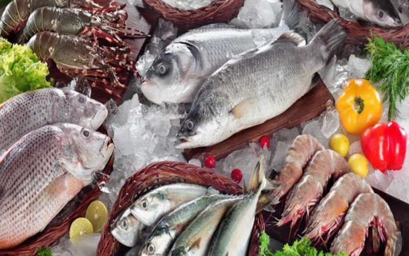 “البلطي ب65” أسعار السمك اليوم للمستهلك الجمعة الموافق 28 يونيو 2024 في سوق العبور