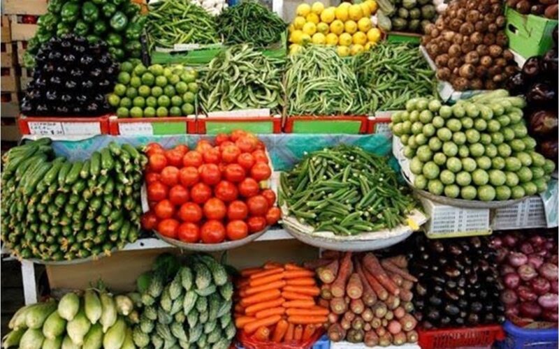“الكيلو بكام” اسعار الخضروات اليوم الثلاثاء 25 يونيو 2024 واسعار الفاكهة فى أسواق العبور