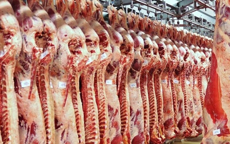 كم سعر كيلو اللحم الضاني في مصر؟ سعر كيلو اللحم اليوم الاربعاء الموافق 5 يونيو 2024 للمستهلك في محلات الجزارة ومنافذ البيع