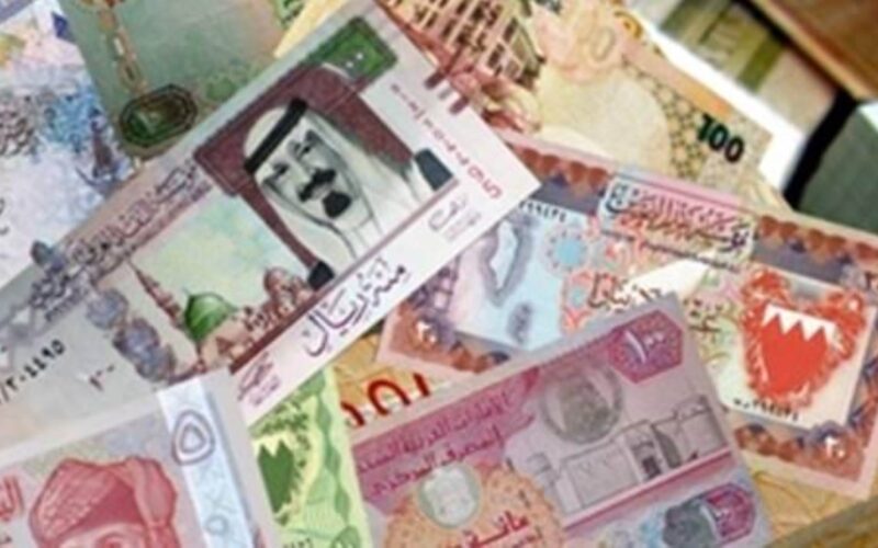 تعرف على اسعار العملات الاجنبية في مصر اليوم السبت 29 يونيو 2024 فى السوق السوداء