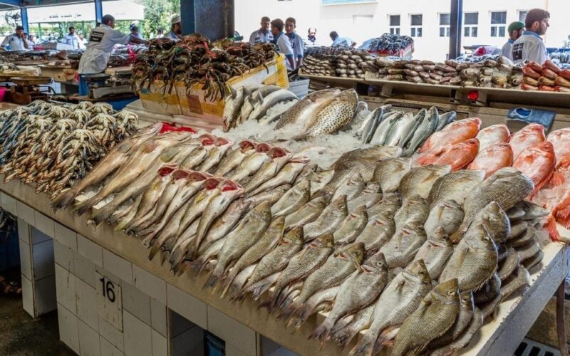 “طازة ومجمد” أسعار السمك اليوم للمستهلك الثلاثاء الموافق 25 يونيو 2024 في الأسواق المصرية