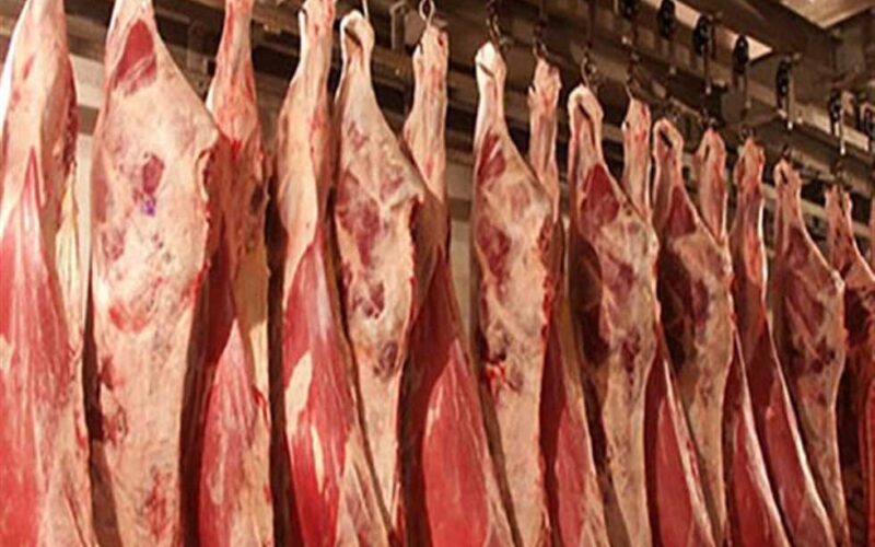 “الحمره بكام” اسعار اللحوم اليوم الاثنين 24 يونيو 2024 فى الاسواق وجميع منافذ البيع المصريه