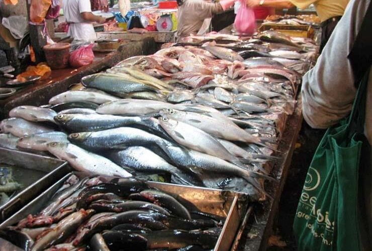 “بلطى وبورى” اسعار السمك اليوم السبت 1 يونيو 2024 فى الاسواق و جميع منافذ البيع المصريه
