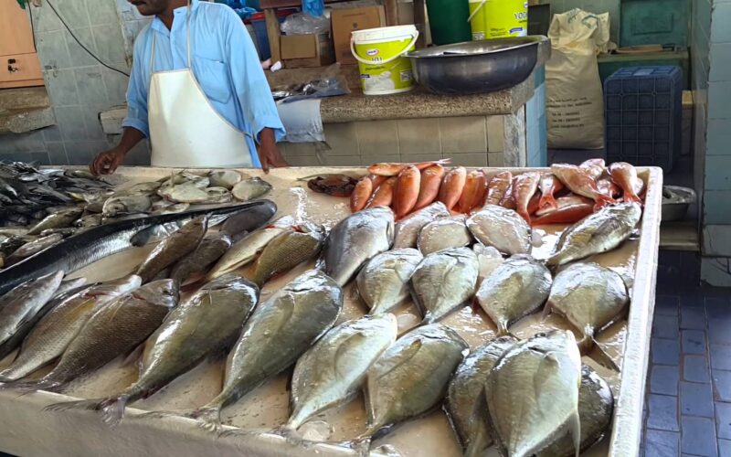 بلطى وبورى.. أسعار السمك اليوم للمستهلك السبت 22 يونيو 2024 فى الاسواق وجميع منافذ البيع المصريه