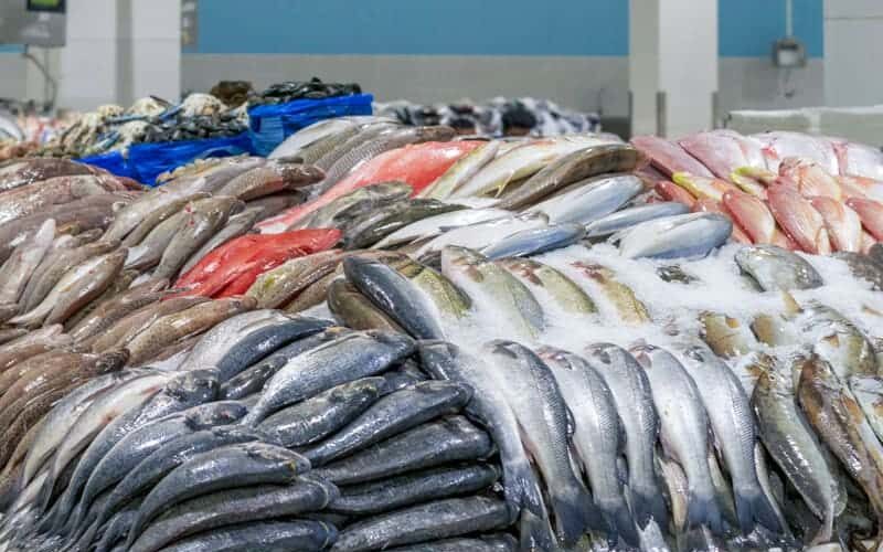ننشر لكم اسعار السمك اليوم الثلاثاء 25 يونيو 2024 فى الاسواق وجميع منافذ البيع المصريه