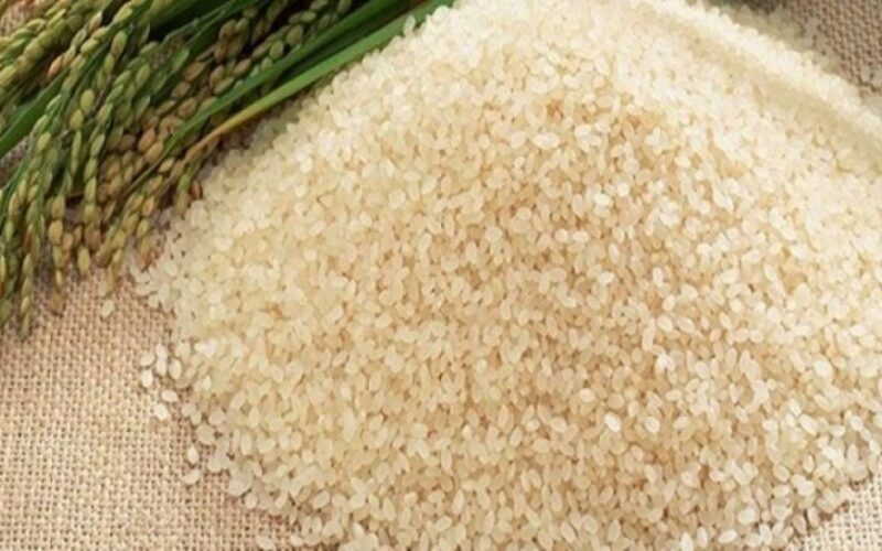 “رفيع وعريض” سعر طن الأرز الشعير اليوم الخميس الموافق 27 يونيو 2024 في المحلات والأسواق للمستهلك
